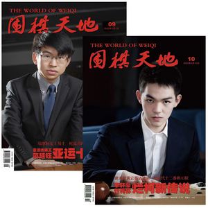 围棋中文科技资讯网站(围棋中文科技资讯网站是什么)下载