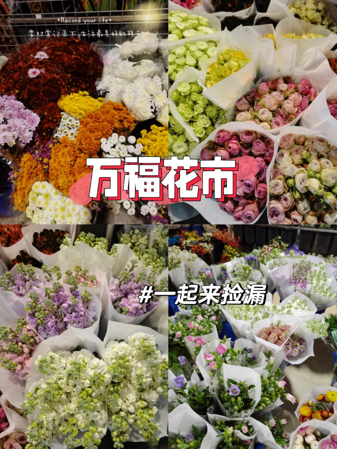 花币暂无可下载应用(花币暂无可下载应用怎么办)下载