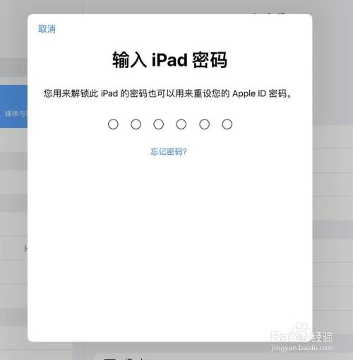 ipad应用商店下载密码忘记(苹果平板应用商店下载密码忘记了怎么办)下载